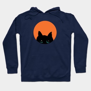 Black Cat Is Seeing You Hoodie